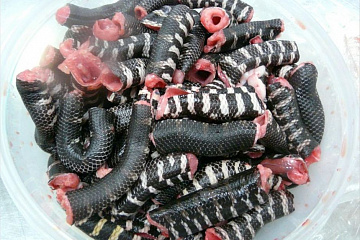 Фото Мясо гремучей змеи
