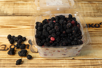 Фото Шелковица свежемороженая черная