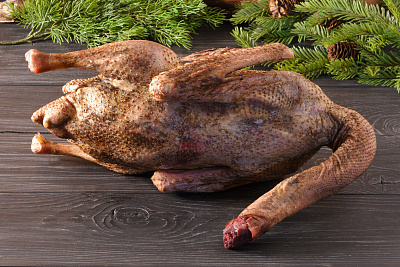 Превью Гусь (дикий) весенний