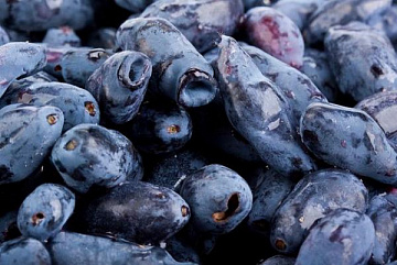 Фото Жимолость замороженная (10 кг коробка)