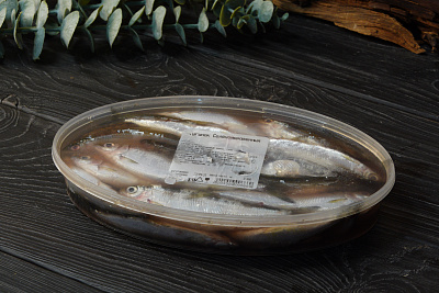 Превью Тугунок соленомороженный 0,6 - 0,7 кг