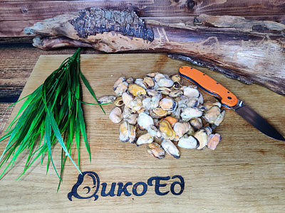 Превью Мидии очищенные варено-мороженые 1 кг (100/200)