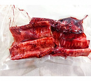 Фото Трахея европейского оленя