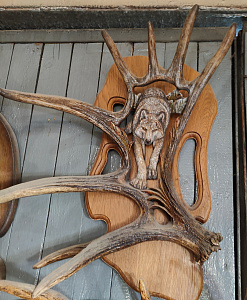 Превью Рог лося с волком