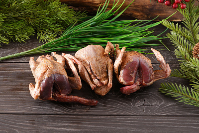 Превью Вяхирь осенний дикий