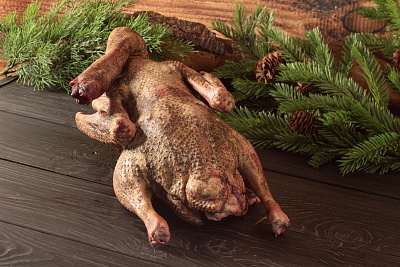 Превью Гусь (дикий) осенний 