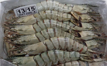 Фото Креветка черная тигровая с головой целая (13-15)