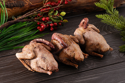 Превью Вяхирь осенний дикий