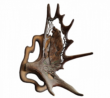 Фото Рог лося с медведем