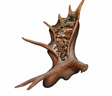 Рог лося с охотником и тигром