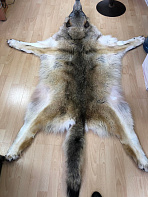 Шкура волка (Пермьский)
