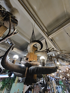 Превью Люстра с рогами тура