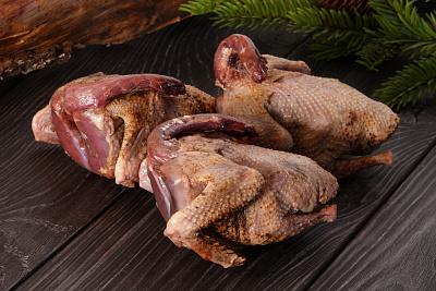 Превью Вяхирь осенний дикий