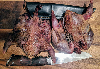 Превью Серая куропатка дикая без пера