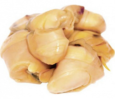 Рапан черноморский (мясо) 1кг вылов 2024г 