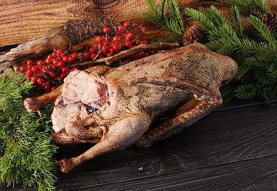 Превью Гусь (дикий) осенний 