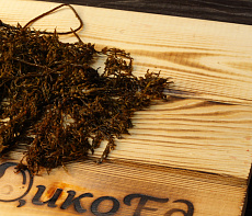 Морской виноград сахалинский