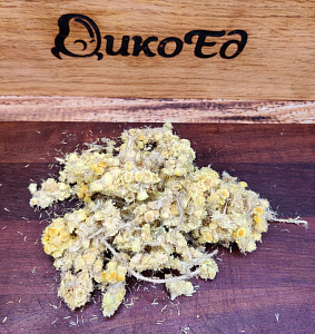 Превью Бессмертник сушеный